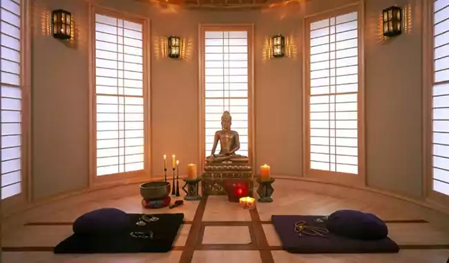 Unity The Amaryllis - Meditation Zone