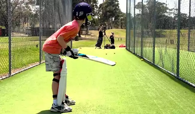 Unity The Amaryllis - Cricket